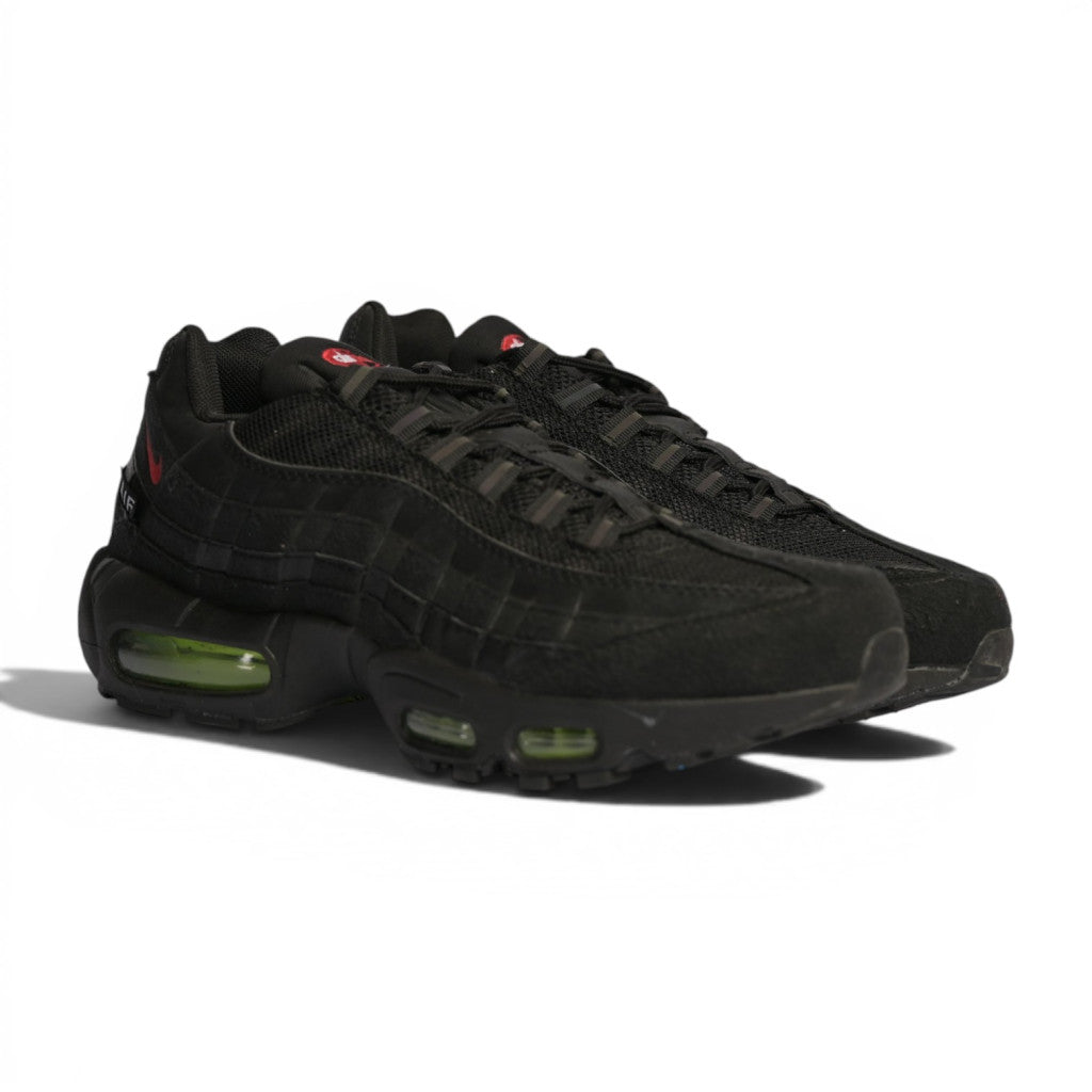 Nike Air Max 95 LeBron - 2